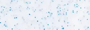 Sample_SeasideSky-300x251